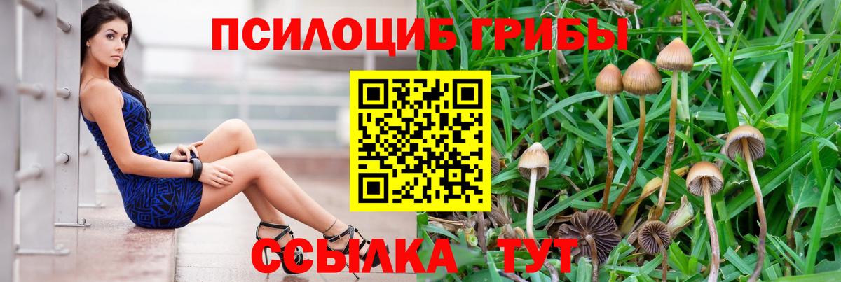 Псилоцибиновые грибы GOLDEN TEACHER  Галлюциногенные грибы прущие грибы  Ивантеевка  Вход с VPN 